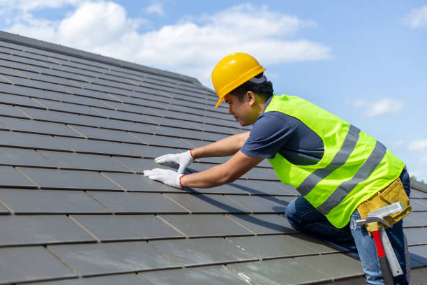 Roof Gutter Cleaning in Delta, UT